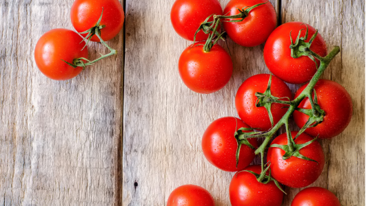 Comment booster les jeunes plants de tomates ?